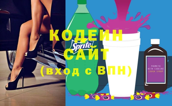 индика Балахна