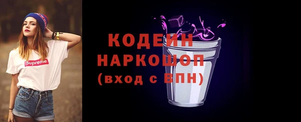 индика Балахна