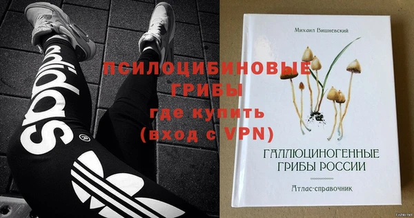 прущие грибы Семилуки