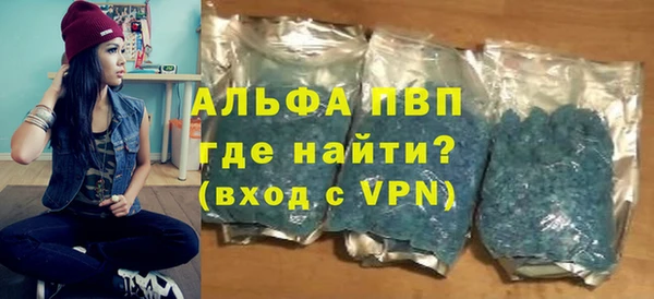 индика Балахна