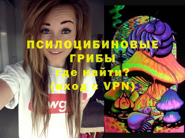 молекула духа Алексин