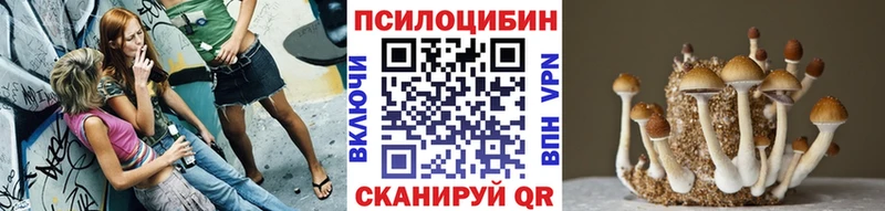 как найти закладки  Трёхгорный  площадка состав  Псилоцибиновые грибы мицелий 